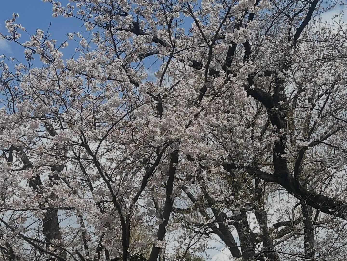 皆様こんにちは☀️
