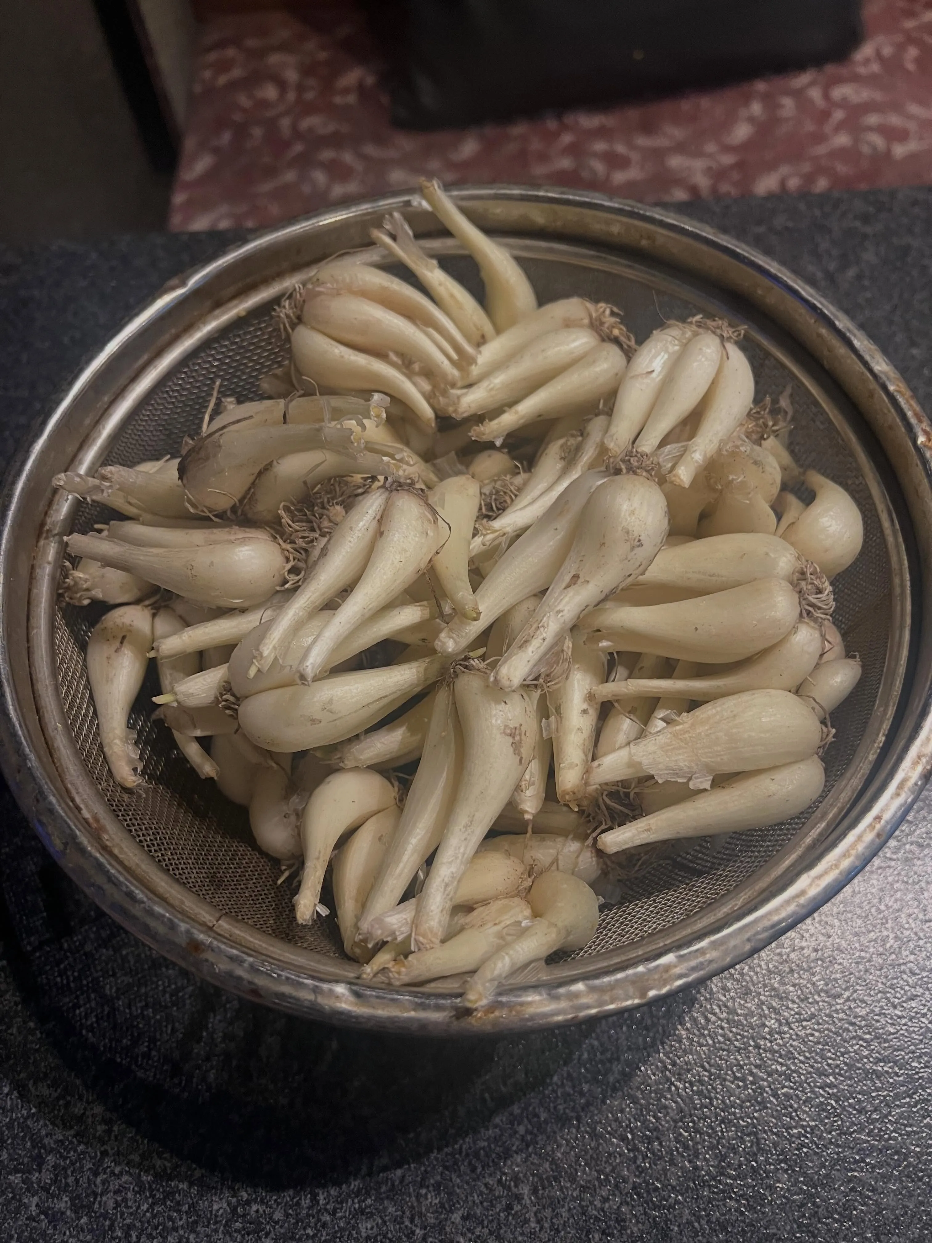 皆様こんばんは😊