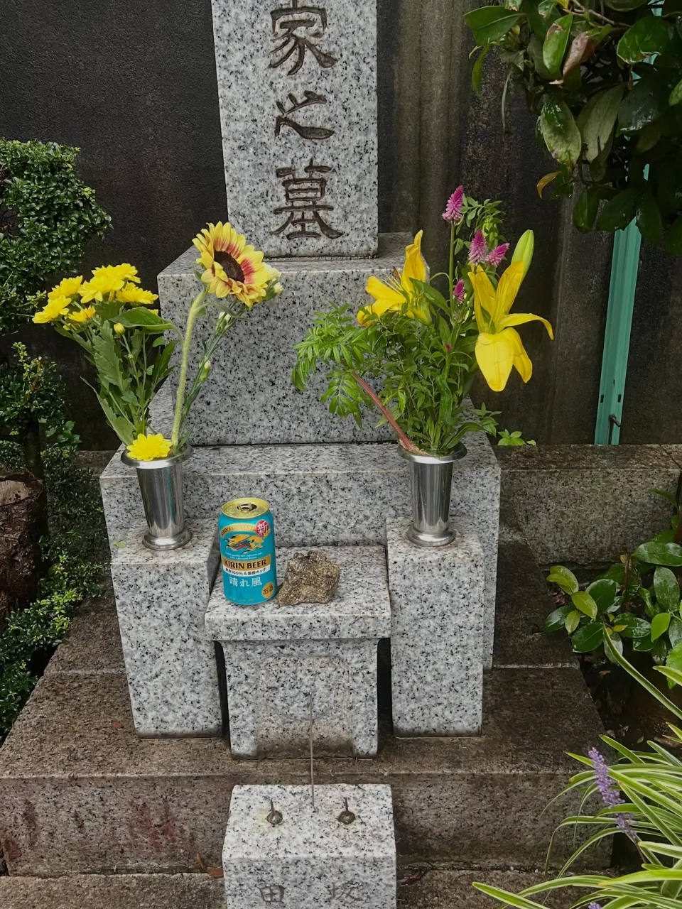 皆様こんばんは♪