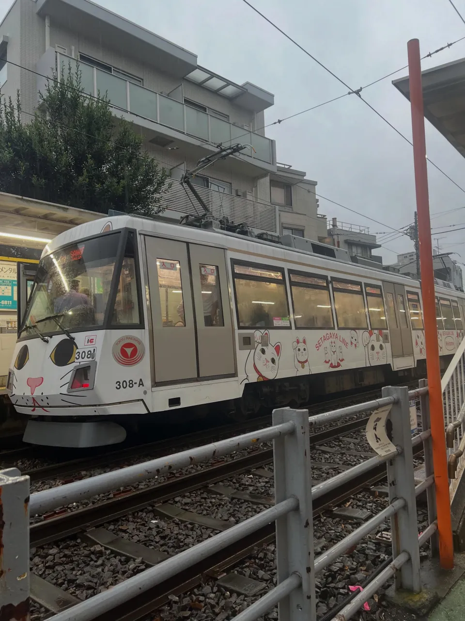 皆様こんばんは♪